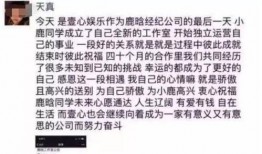 娱乐圈吃瓜事件表格,揭秘明星幕后真相
